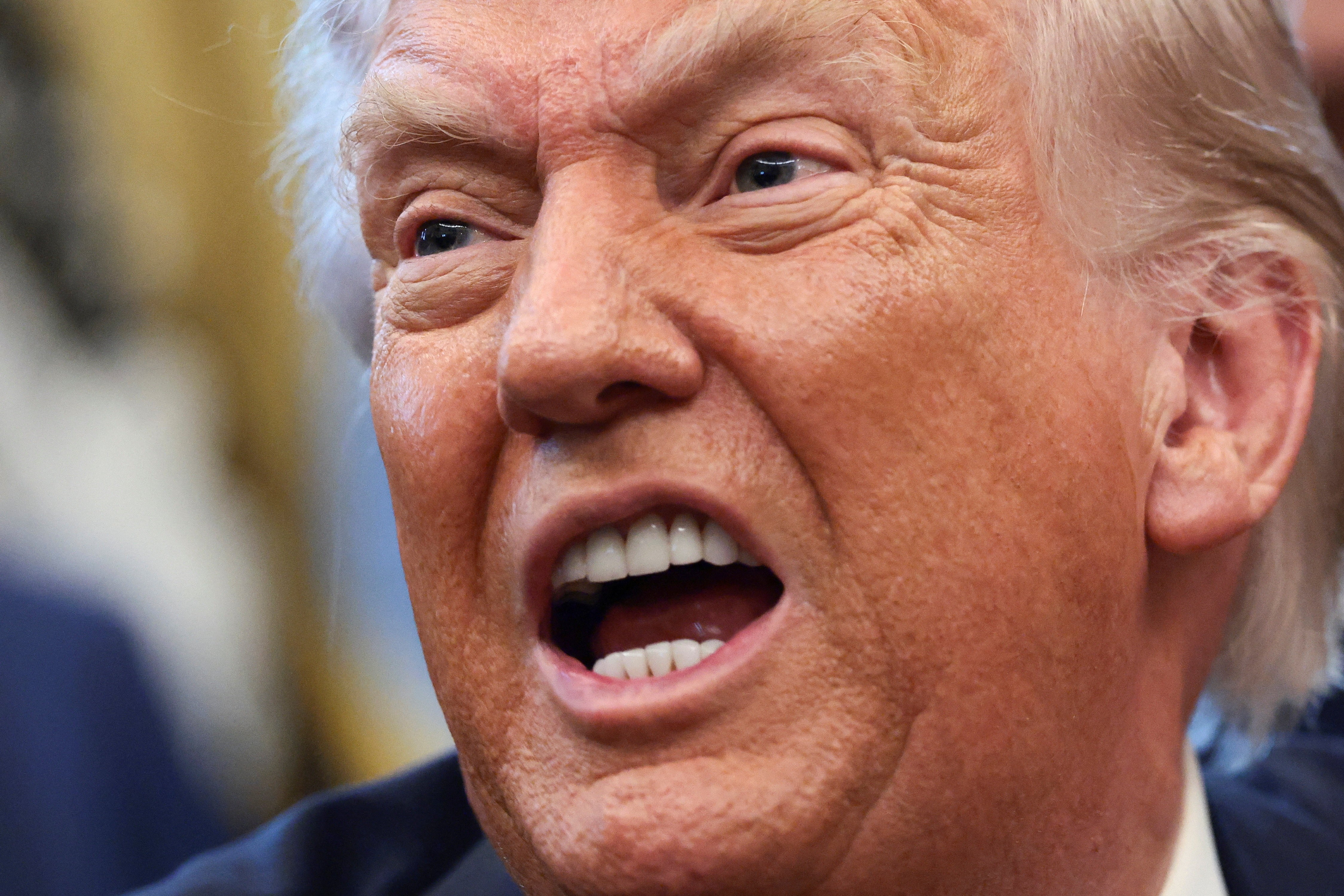 Militares na Groenlândia: quais países enviaram tropas e como EUA e Rússia reagiram