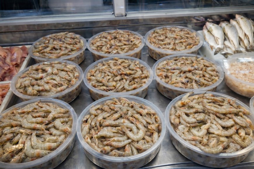 Defeso do camarão começa nesta quarta&amp;feira (28) e reforça importância da pesca sustentável em Paranaguá